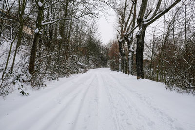 Snow covered road amidst trees during winter
