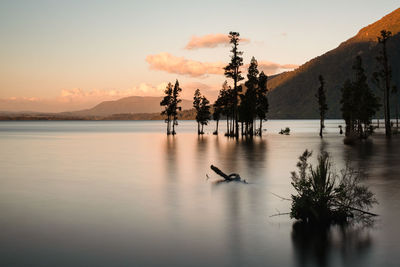 Scenic view of lake against sky during sunset