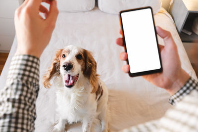 Man pets his dog sitting on the floor at home. indoor life, quarantine, finding simple joy