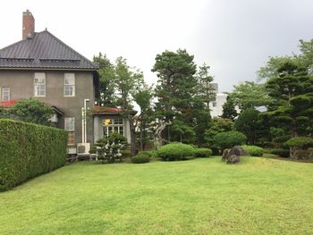 Trees growing in front of a building