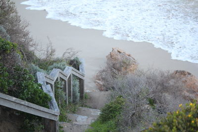 High angle view of trees by sea