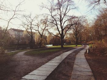 Footpath amidst bare trees