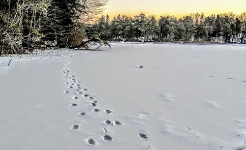 Scenic view of snow covered landscape against sky