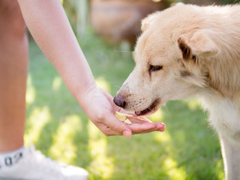 Cropped image of hand holding hands