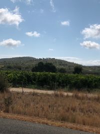 Scenic view of landscape against sky