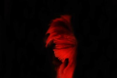 Full length of woman in dark room