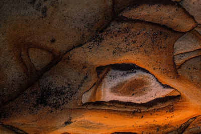 Close-up of cave