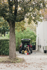 People sitting on street amidst trees