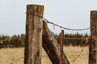 Close-up of wooden post