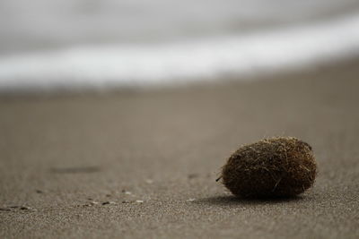 Close-up of sand on beach