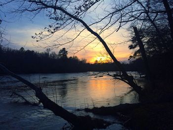 Reflection of trees in lake at sunset