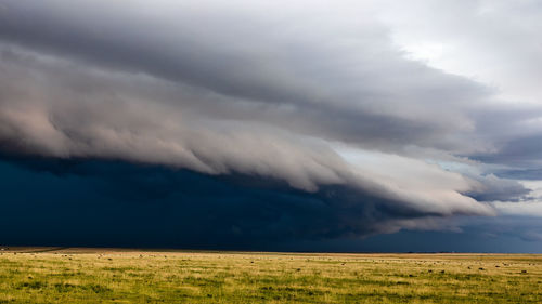 A dramatic arcus cloud leads a line of thunderstorms across southeastern colorado.