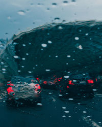 Fishes swimming in sea seen through car windshield