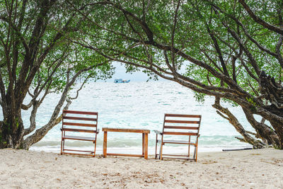 Empty bench by sea against trees