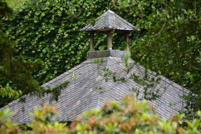 Roof of gazebo amidst plants in park