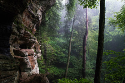 Hocking hills state park in summer