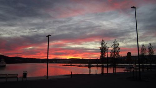Silhouette of trees at sunset