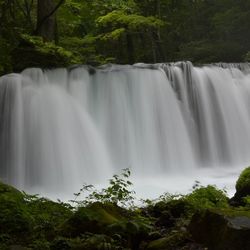 River flowing through rocks