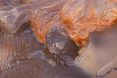 High angle view of ice cream