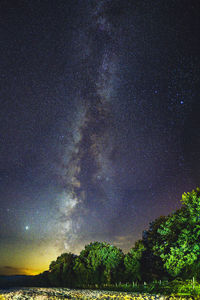 Low angle view of trees against sky at night