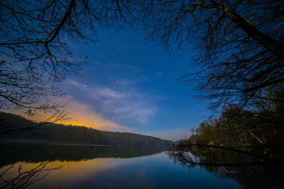 Reflection of trees in lake