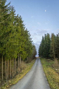 Road amidst trees against sky