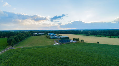 Scenic view of agricultural field against sky