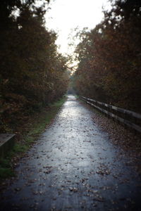 Wet dirt road amidst trees during autumn
