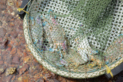 Close-up of fishing net