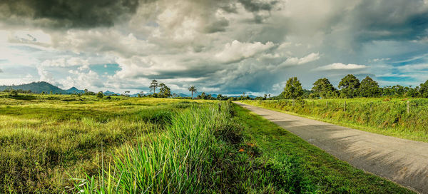 Panoramic shot of road amidst field against sky