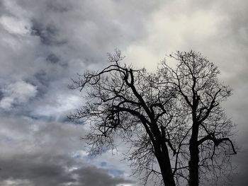 Low angle view of tree against cloudy sky