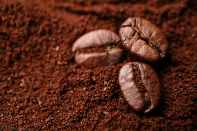 Closeup of three coffee beans at the mixed heap of roasted coffee with copy space