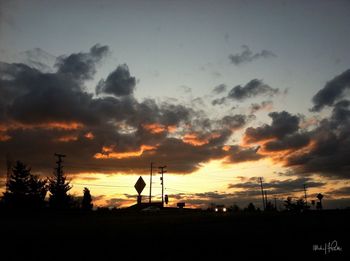 Silhouette trees against sky during sunset