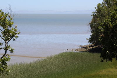 Scenic view of sea against sky
