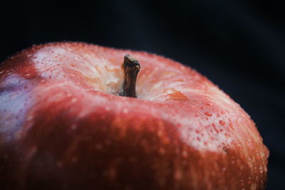 Close-up of apple against black background