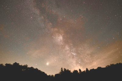 Low angle view of silhouette trees against sky at night