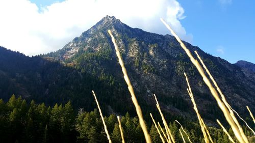 Low angle view of mountain against sky