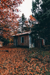 Plants and trees by house during autumn