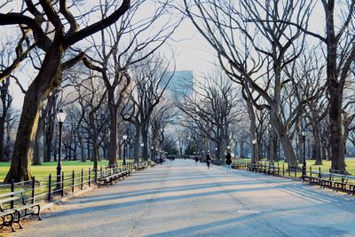 Road amidst bare trees against sky during winter