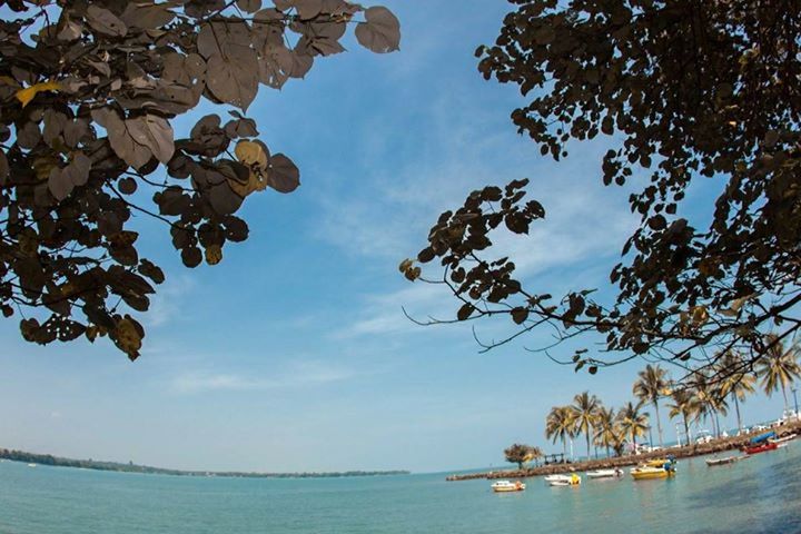 water, sky, sea, tranquility, tree, cloud - sky, tranquil scene, scenics, beauty in nature, nautical vessel, horizon over water, waterfront, nature, cloud, boat, beach, cloudy, idyllic, transportation, mode of transport