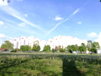 Trees in city against sky