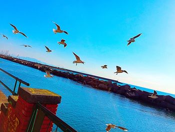 Low angle view of airplane flying against blue sky