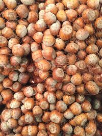 Full frame shot of hazelnuts in net