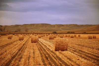 Hay bales on field against sky