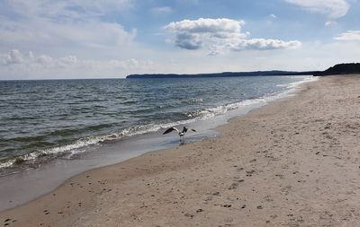 Prora, strand