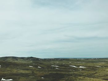 Scenic view of field against sky