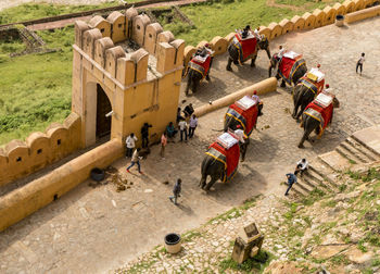 High angle view of men
