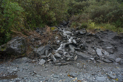 High angle view of stream flowing through rocks in forest