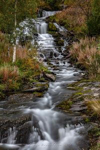 Stream flowing through rocks in forest