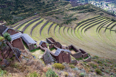 High angle view of agricultural field